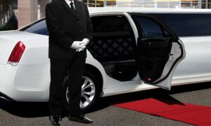 Airport Hotel pickup Limousine Napa & Sonoma Private Driver for Wine Tours & Events, Napa Sonoma Wine Tasting Driver (707)536-1939